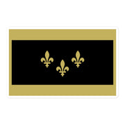 NOLA Black & Gold Flag Sticker - NOLA REPUBLIC T-SHIRT CO.