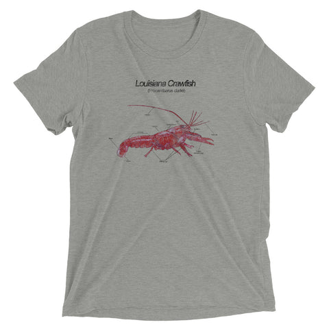 Louisiana Crawfish: Anatomy Unisex Tri-blend T-Shirt - NOLA REPUBLIC T-SHIRT CO.