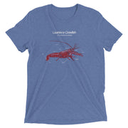 Louisiana Crawfish: Anatomy Unisex Tri-blend T-Shirt - NOLA REPUBLIC T-SHIRT CO.