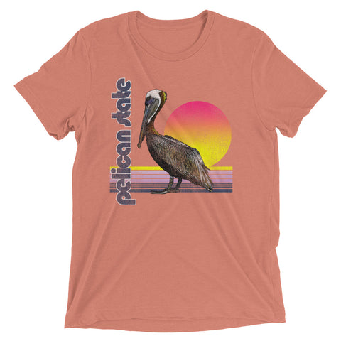 Retro Pelican State Unisex Tri-blend T-Shirt - NOLA REPUBLIC T-SHIRT CO.