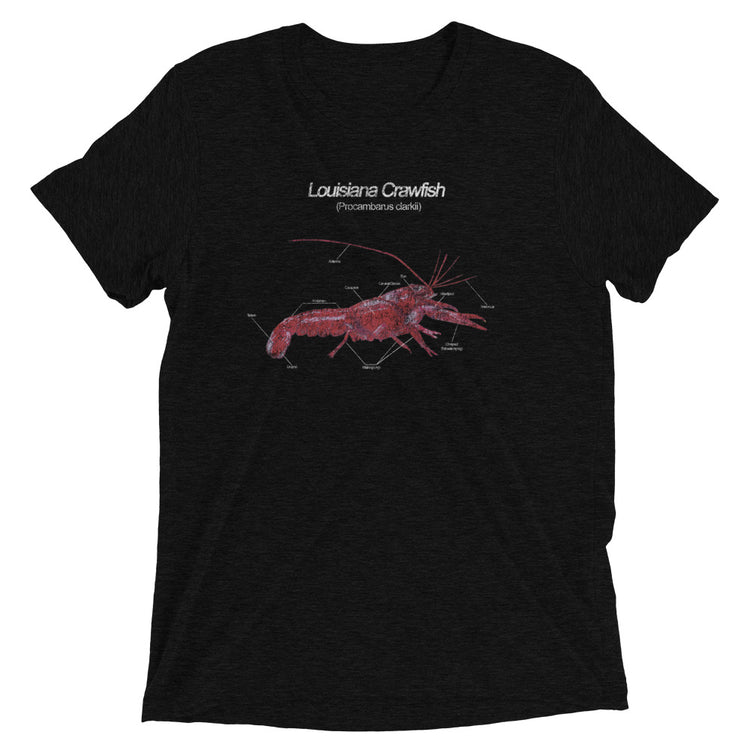 Louisiana Crawfish: Anatomy Unisex Tri-blend T-Shirt - NOLA REPUBLIC T-SHIRT CO.