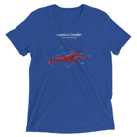 Louisiana Crawfish: Anatomy Unisex Tri-blend T-Shirt - NOLA REPUBLIC T-SHIRT CO.