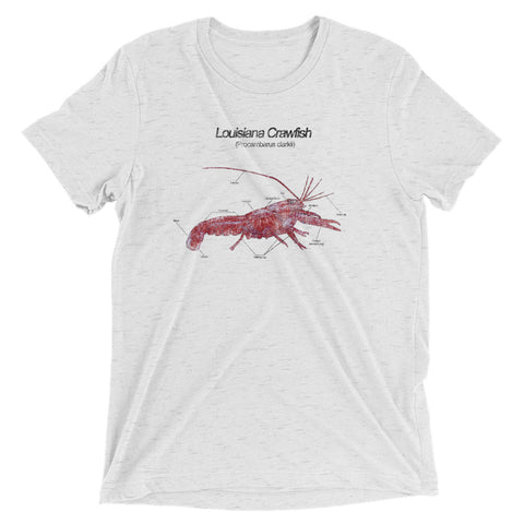 Louisiana Crawfish: Anatomy Unisex Tri-blend T-Shirt - NOLA REPUBLIC T-SHIRT CO.